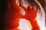 Chili – Une ado achète des pilules abortives sur internet et cache les restes du foetus dans la machine à laver