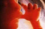 Chili – Une ado achète des pilules abortives sur internet et cache les restes du foetus dans la machine à laver