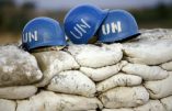 Deux soldats de l’ONU tués par les rebelles musulmans ougandais en RDC