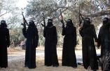 Tunisie : démantèlement d’une cellule de recrutement de femmes pour les terroristes