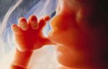 Avortement – L’abominable proposition de loi Gaillot en seconde lecture aujourd’hui à l’Assemblée nationale