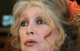 Brigitte Bardot demande aux musulmans de remplacer le sacrifice d’un animal par une offrande aux plus déshérités