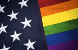 États-Unis : le “mariage” homosexuel en question