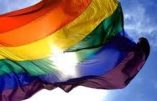 Pressions occidentales sur les pays pauvres pour imposer les pratiques LGBT