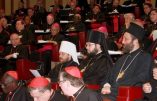 Treize cardinaux s’opposent au pape et contestent les procédures synodales