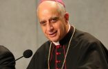 Synode : le cardinal Salvatore Fisichella prône un retour à la primauté de la conscience