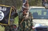 Boko Haram menace le président camerounais