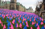 100.000 drapeaux face au parlement canadien pour symboliser les victimes de l’avortement