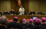 Un prochain Synode des évêques sur la paix mondiale ? Une idée du pape François