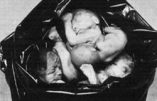 Avortement, un monde de mort…