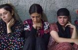 État Islamique entre obscurantisme et modernité : pilule contraceptive et avortement pour les esclaves sexuelles