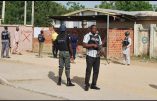 Attentat dans une école : près de 50 morts et Boko Haram comme probable coupable