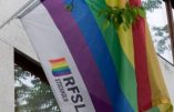 Un leader du lobby gay condamné pour pédophilie en Suède