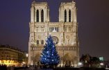 Le sapin de Noël de Notre-Dame de Paris est venu de Russie offert par la ville de Moscou!