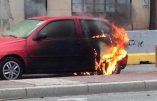L’extrême gauche crée à nouveau des incidents à Toulouse lors de la manifestation en hommage à Rémi Fraisse