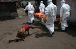 Ebola : déjà plus de 7.300 morts