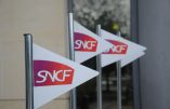 Grève SNCF, les usagers des périphéries sont les grands perdants