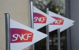 SNCF : La faillite ne vaut que si elle est partagée par tous…