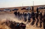 L’Etat Islamique exécute une centaine de ses combattants étrangers qui tentaient de déserter