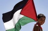 Elie Hatem plaide pour l’intégralité territoriale d’une Palestine multiconfessionnelle