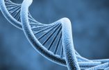 Quand les cellules du corps livrent leur passé