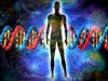 Créer de l’ADN humain artificiel ?