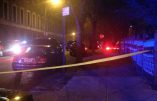 New York : encore deux policiers pris pour cibles de tirs