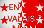 Résistance valaisanne à un projet de gay pride
