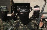 130 djihadistes reviennent en France : réactions…