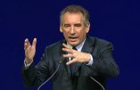 François Bayrou prend la défense de Vincent Lambert