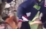 Un jeune Palestinien mordu par le chien de soldats israéliens – Les images qui font le tour du monde