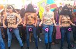 Harcèlement sexuel : Huffington Post, UNEF, Hollywood, les « féministes » complices des porcs