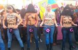 Harcèlement sexuel : Huffington Post, UNEF, Hollywood, les « féministes » complices des porcs