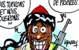 Ignace – Boko Haram obtient l’allégeance de Daech