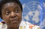 L’immigration de grand remplacement est un programme officiel de l’ONU