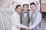 Homofolie : résistance en Asie