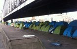 Les immigrés clandestins plantent leurs tentes en plein Paris !