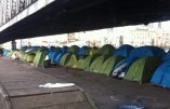Les immigrés clandestins plantent leurs tentes en plein Paris !