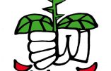 Le parti socialiste se prépare à la dégringolade