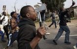 Ratonnades anti-immigrés – Des skinheads ? Non, des Zoulous !
