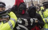 Le FBI prouve l’alliance terroriste islamo-gauchiste