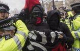 Le FBI prouve l’alliance terroriste islamo-gauchiste