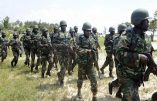 L’armée nigériane à l’assaut de Boko Haram