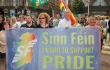 L’Irlande va-t-elle voter la dénaturation du mariage ?