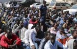 Migrants : la France du pays réel repousse les clandestins de Calais