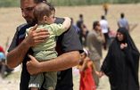l’Etat Islamique massacre 503 personnes, femmes et enfants, à Ramadi en Irak à 120 km de Bagdad