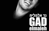 Gad Elmaleh : de radio Shalom à HSBC, la nouvelle biographie…