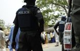 Niger : des attentats-suicides à Diffa font au moins 6 morts