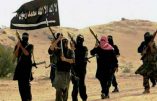 Les djihadistes de l’Aqmi revendiquent l’embuscade ayant coûté la vie à 14 militaires algériens