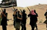 Les djihadistes de l’Aqmi revendiquent l’embuscade ayant coûté la vie à 14 militaires algériens